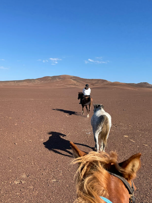 Namibia horse safari review